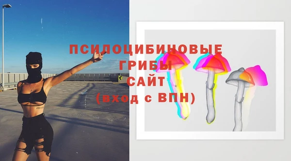 PSILOCYBIN Козельск