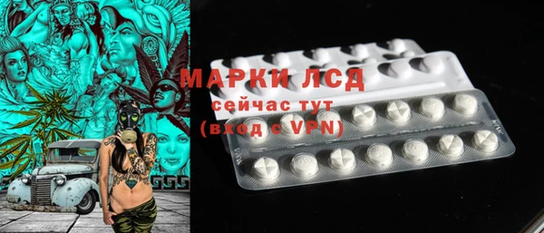 PSILOCYBIN Козельск