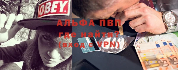 PSILOCYBIN Козельск