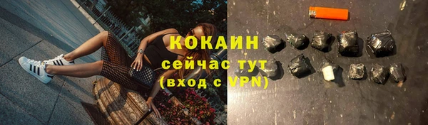 PSILOCYBIN Козельск