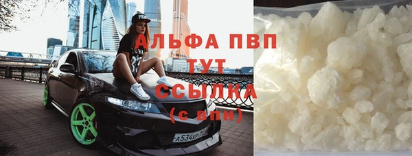 PSILOCYBIN Козельск